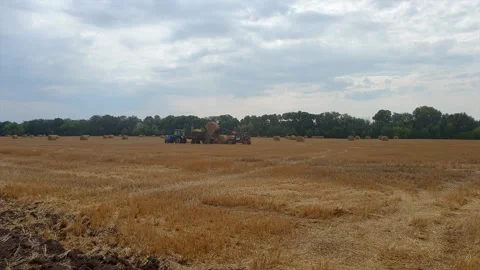 The tractor loads bales of hay on the machine after harvesting on wheat field Stock-Footage 131436620