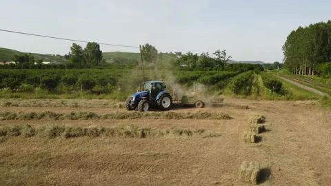 Tractor Machine and Farmer Working on Hay Bales in Agriculture Rural Field Video stock 202319309