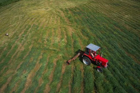 Tractor machine with grass cutter mowing lawn along road during machinery lan Stock Photos