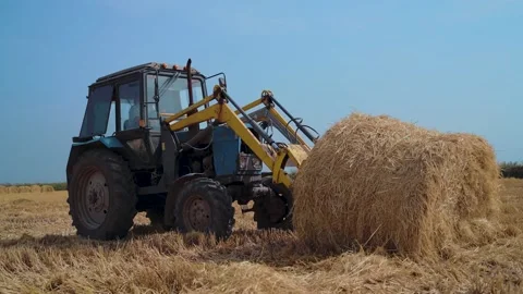 Tractor Machine Loading hay Bales on Truck Trailer during Agriculture Works Stock Footage 144880561