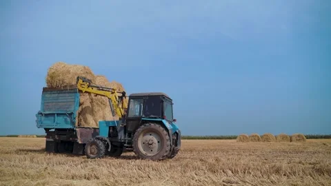 Tractor Machine Loading hay Bales on Truck Trailer during Agriculture Works Stock Footage 144881369