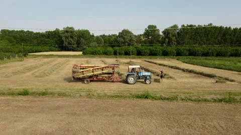Tractor Machine Working on Hay Bales in a Wheat Agriculture Field 스톡 동영상 202321796