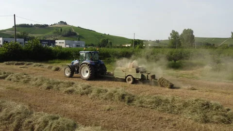 Tractor Machine Working on Hay Bales in Agriculture Field Stock Footage 202353008