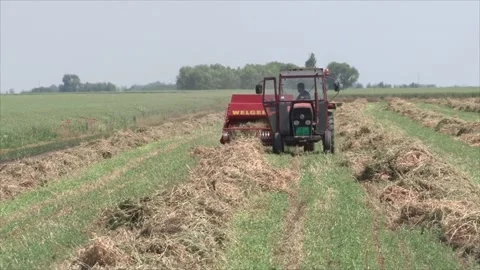 Tractor makes bales of hay Видео 169109030