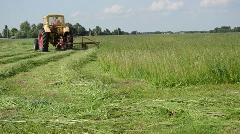 Tractor makes sharp turn in meadow and leaves cut grass tufts Stock Footage 34125860