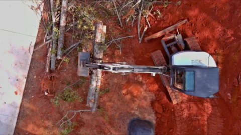 A tractor manipulator is used for lifting logs of the process to prepare land Stock Footage 236464415
