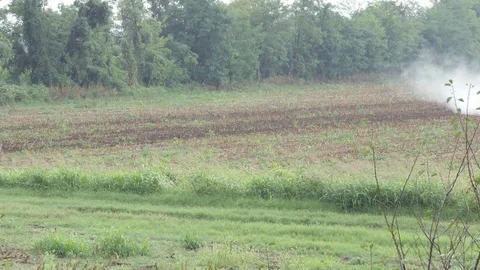 Tractor manure spreader with smoke Stock-Footage 116654247