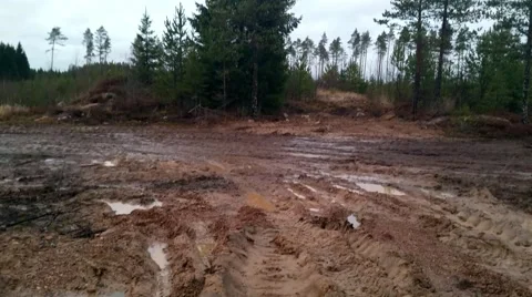 Tractor marks in mud cley, inside a wet muddy forrest Stock Footage 58025048