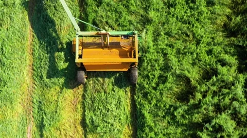 Tractor with a mechanized disc mower Stock Footage 202678278