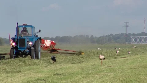 Tractor mixing grass in the field Stock Footage 85327033