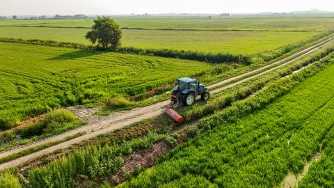 Tractor in movement through rice fields, Italy Stock Photos