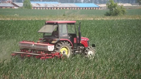 Tractor moves along a field (tracking shot) Stock Footage 51370759