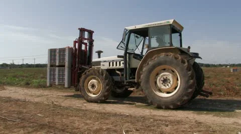 Tractor moving crates of tomatoes Stock Footage 12732442