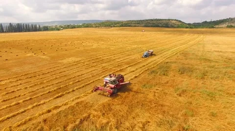 Tractor Moving Towards Combine In Wheat Field Stock-Footage 55291479