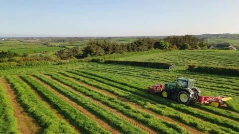 Tractor mowing field, medium, pan Stock-Footage 241155093