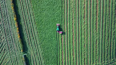 Tractor mowing field, overhead, high Stock-Footage 241155069