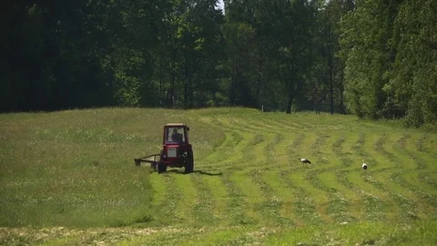 Tractor mowing grass in the field Stock Footage 85327196