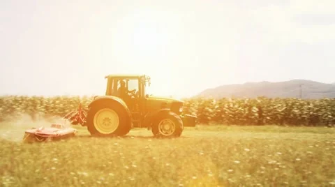 Tractor mowing the grass Video stock 10575578