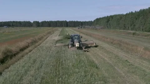 Tractor mows the grass in the farm field Stock Footage 158947920