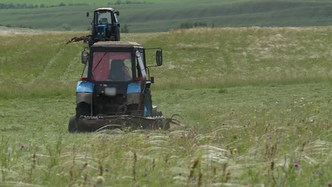 A tractor mows the grass in the field. hay. silage. the countryside Stock Footage 132737342