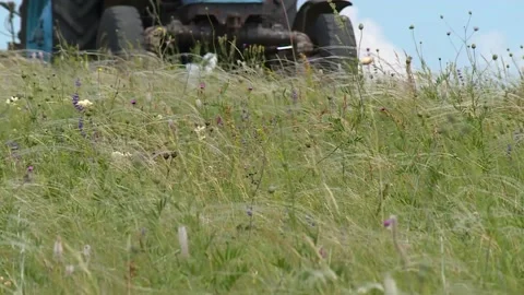 A tractor mows the grass in the field. hay. silage. close up Stock Footage 132737357