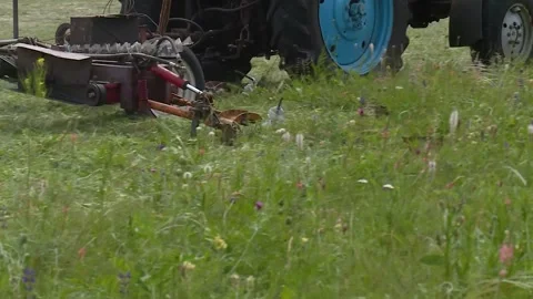 A tractor mows the grass in the field. hay. silage. close up Stock Footage 132737358