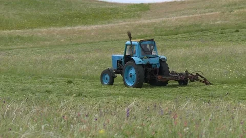 A tractor mows the grass in the field. hay. silage. the countryside Stock Footage 132737377