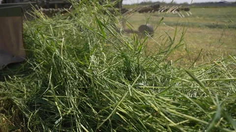 A tractor mows green grass Stock Footage 241693404