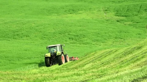 Tractor mows the green grass in spring day Stock Footage 49875487