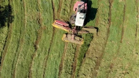 Tractor mows the juicy grass with attachments. Forage harvesting during the 스톡 동영상 136650084