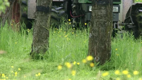 Tractor mows a meadow in spring 스톡 동영상 303962644