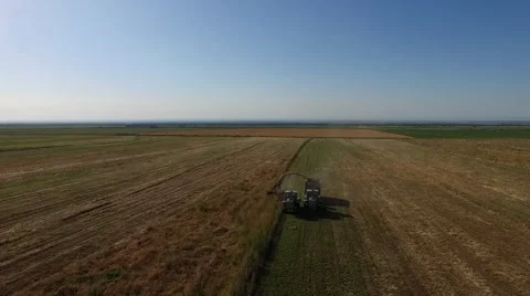 The tractor mows wheat Stock Footage 67241140