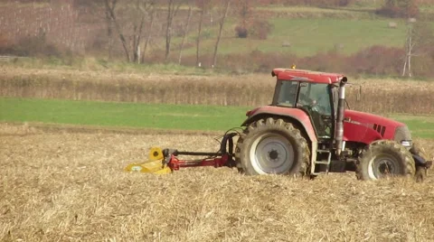 Tractor with mulcher on corn field 動画素材 59604154