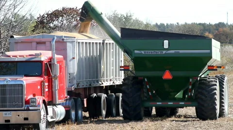 Tractor Offloading Soya Grain Into A Transport Truck Stock Footage 543759