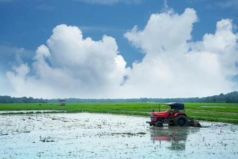 A tractor in a paddy field Stock Photos