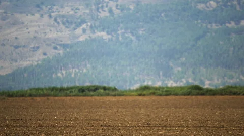 Tractor passing in the field Stock Footage 68858453