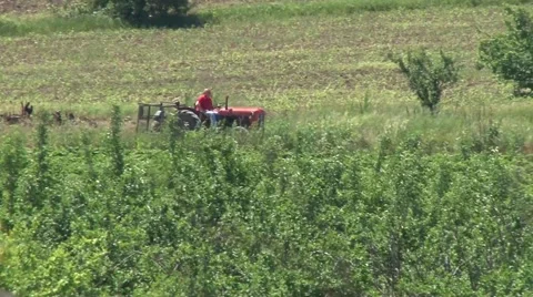 Tractor passing through the orchards Stock-Footage 50582530