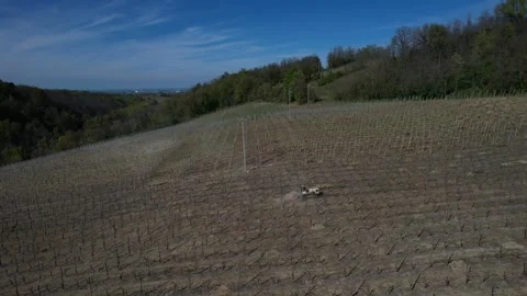 Tractor performing mechanical weed control between vineyard rows in cultivated Stock Footage 331330518