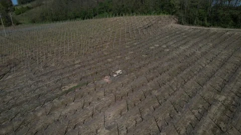Tractor performing mechanical weed control between vineyard rows in cultivated Stock Footage 331330559