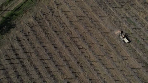 Tractor performing mechanical weed control between vineyard rows in cultivated Stock Footage 331330571