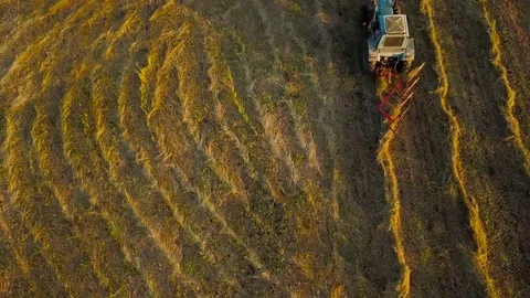 Tractor performs agricultural work on the field at sunset Stock Footage 77909309