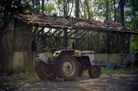 Tractor Stock Photos