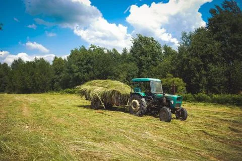 Tractor Stock Photos