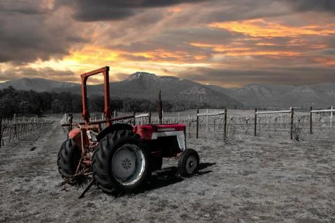 Tractor 스톡 사진