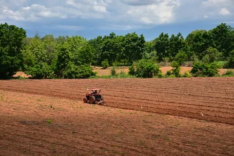 Tractor Stock Photos
