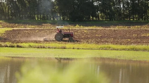 Tractor in the platation Stock Footage 47910184
