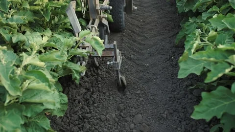 Tractor plough plows up the field close-up Stock Footage 221113090