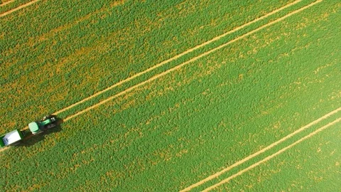 Tractor with plough working on a field. Stock Footage 74197206