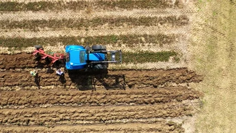 Tractor with plough working on a field. Stock Footage 139395711