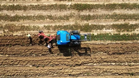Tractor with plough working on a field. Stock Footage 139396217
